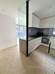 Amber Park (D15), Condominium #581932331